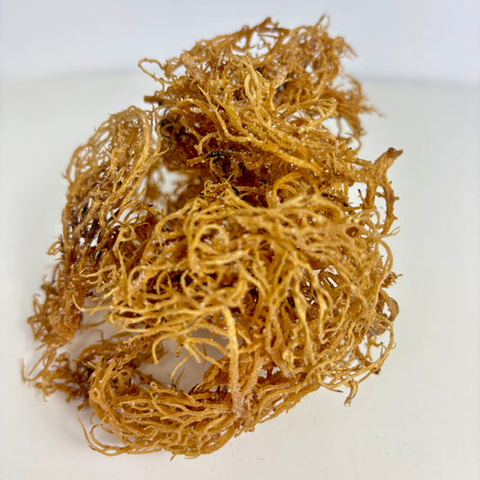 Raw St. Lucian Gold Sea Moss